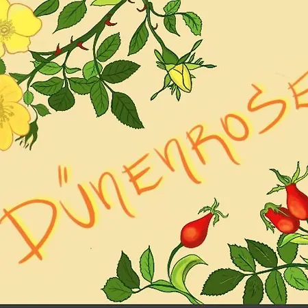 Apartment Duenenrose - Domizil Am Ostseewald Zingst